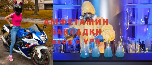 шишки Губаха