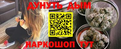 Альфа ПВП Бийск