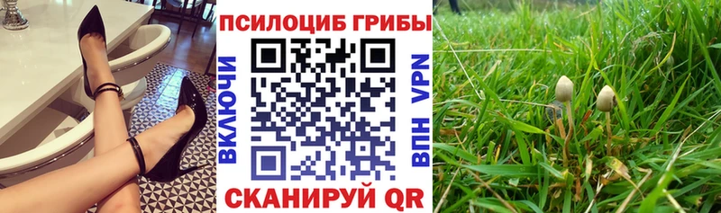 где найти наркотики  Балахна  блэк спрут вход  Галлюциногенные грибы Psilocybine cubensis 