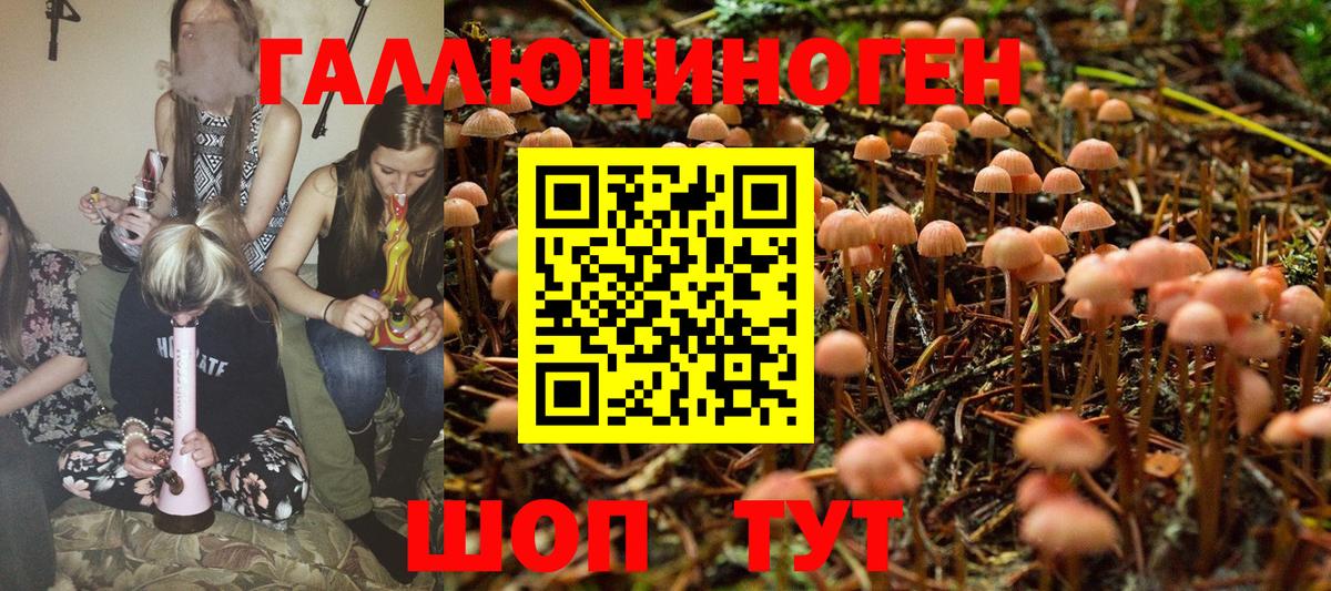 Псилоцибиновые грибы Psilocybe  Балахна 