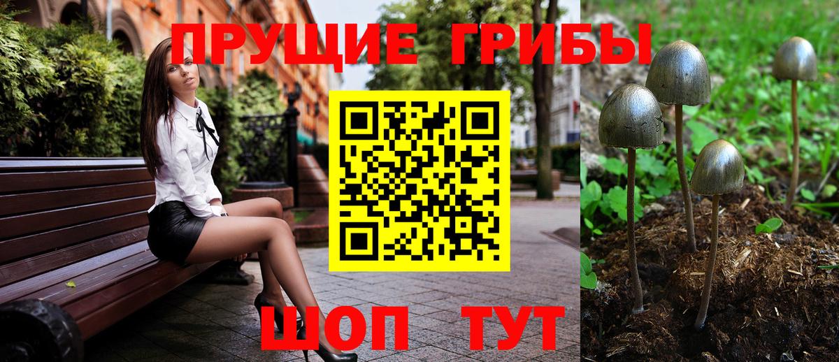 Балахна  Псилоцибиновые грибы MAGIC MUSHROOMS  Галлюциногенные грибы MAGIC MUSHROOMS  Вход с VPN 