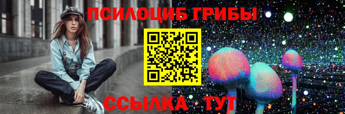 Псилоцибиновые грибы Psilocybe Балахна